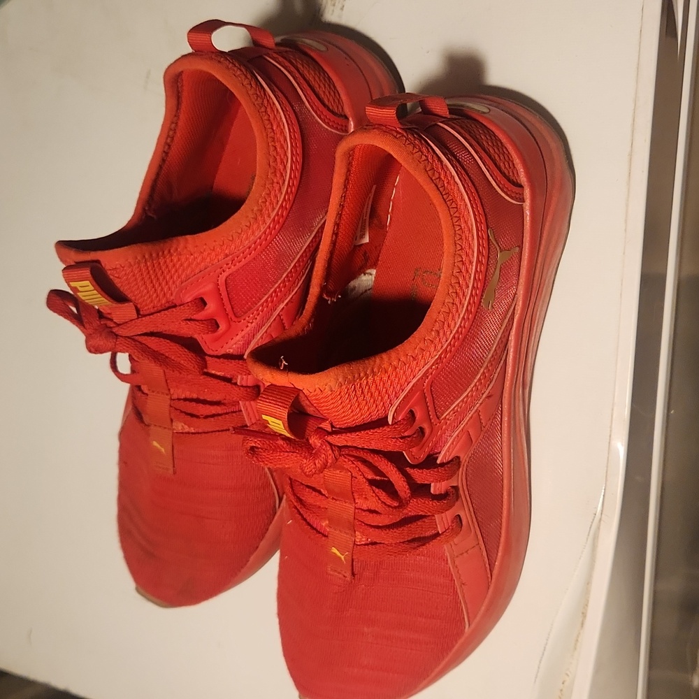 Red puma